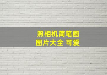 照相机简笔画图片大全 可爱